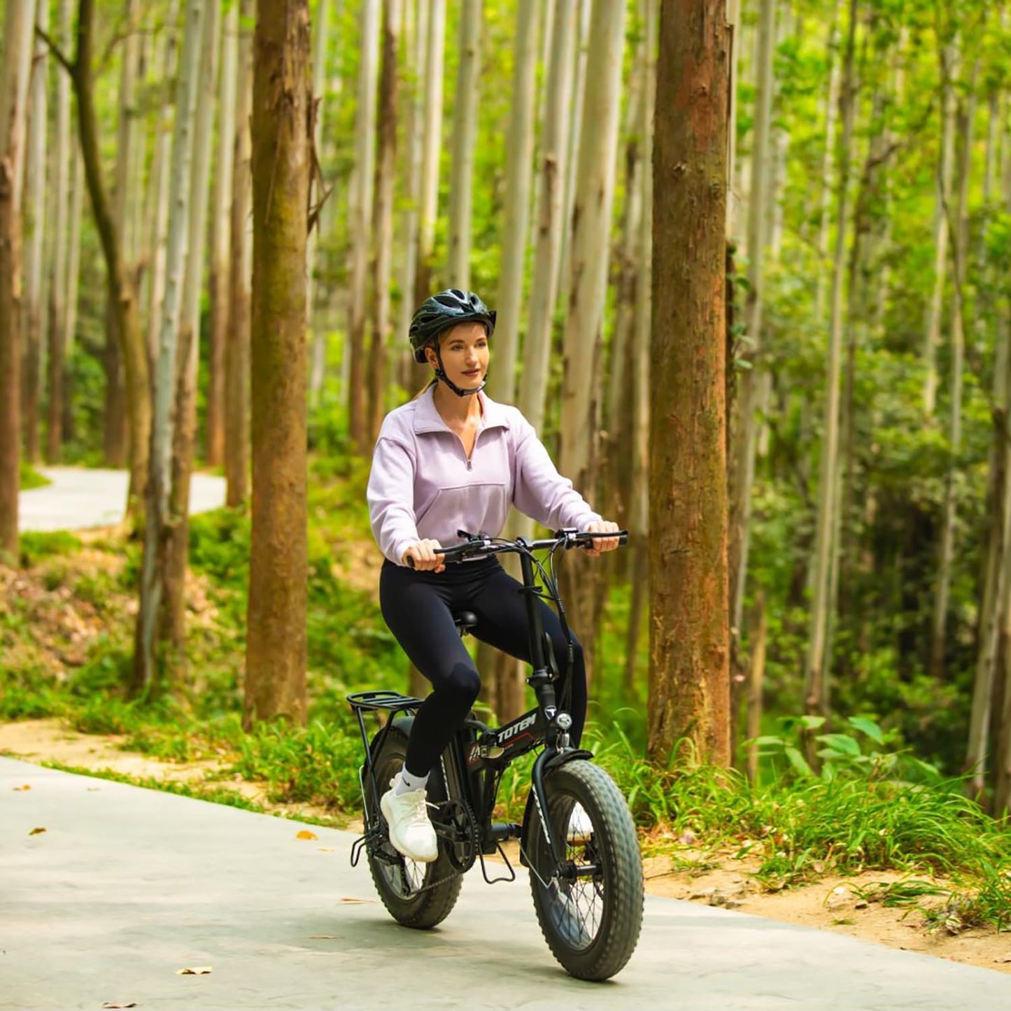 Hammer Folding Electric Bike