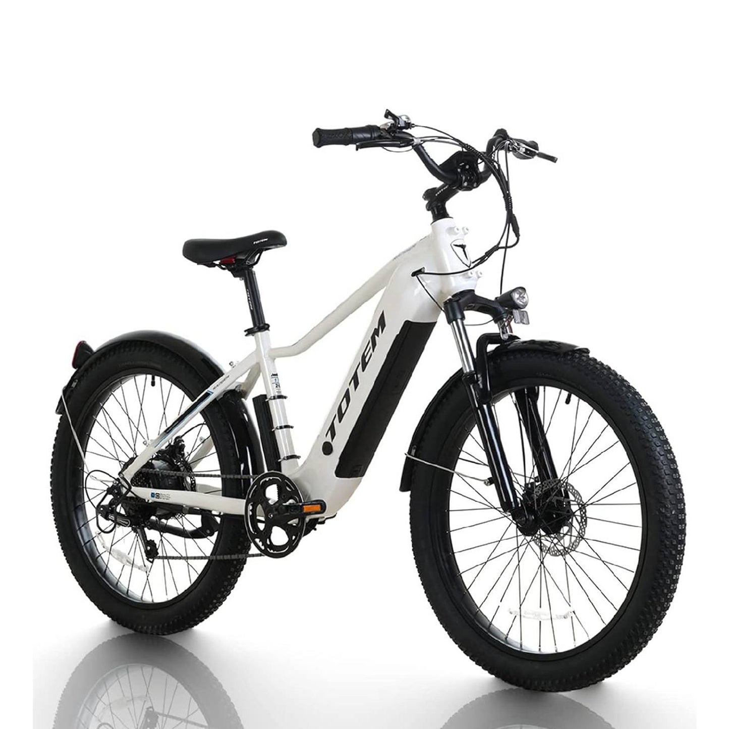 Ranger Fat Tire Electric Bike